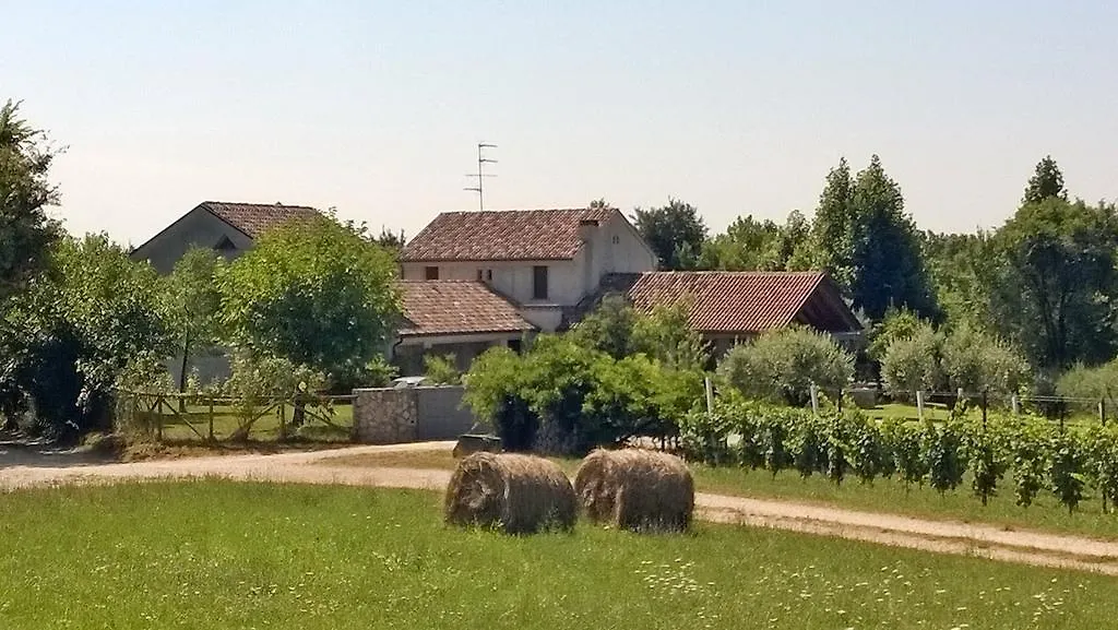 Il giuggiolo-1