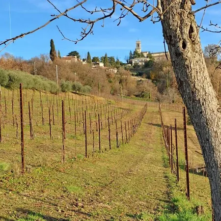 Il giuggiolo-3